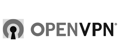 open_vpn